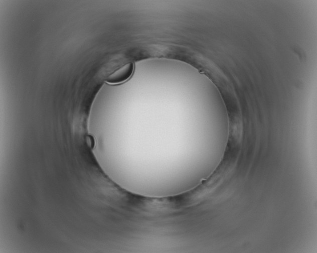 X0000114150525200910221549