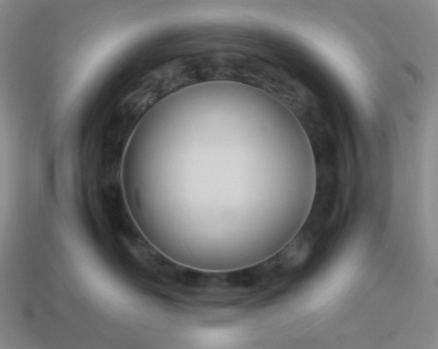 X0000114150526200910221549