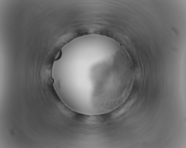 X0000114150527200910221549