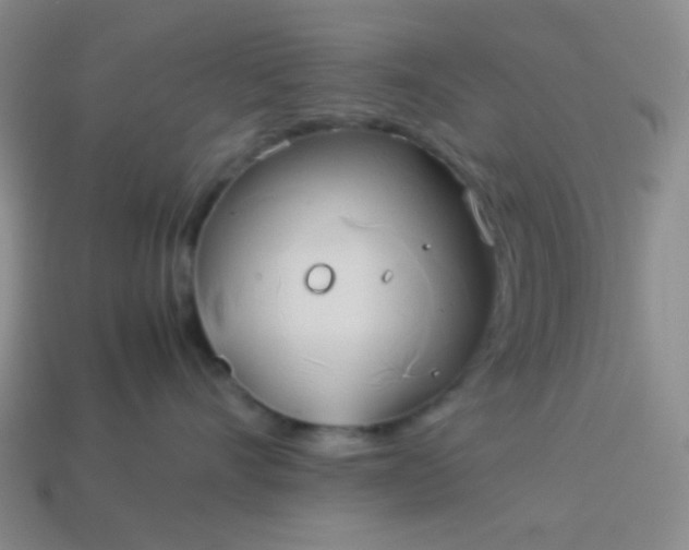 X0000114150528200910221549