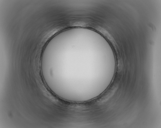 X0000114150529200910221548