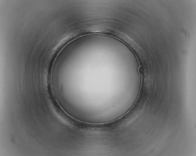 X0000114150530200910221548