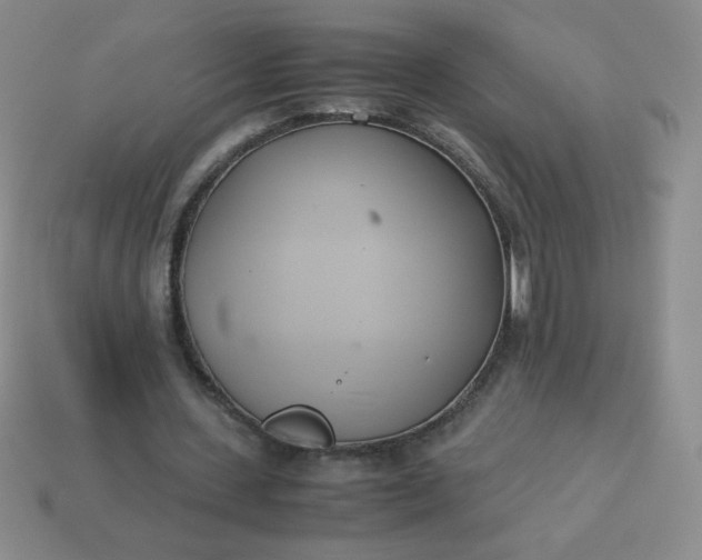 X0000114150531200910221548