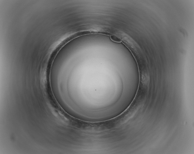 X0000114150532200910221548