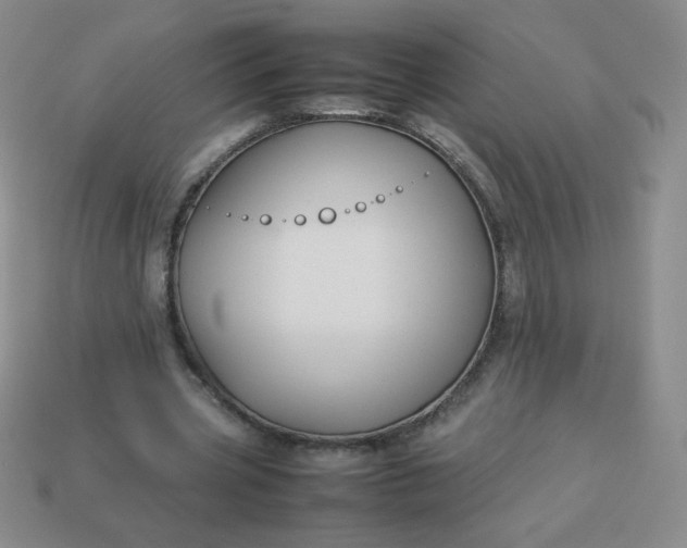 X0000114150533200910221548