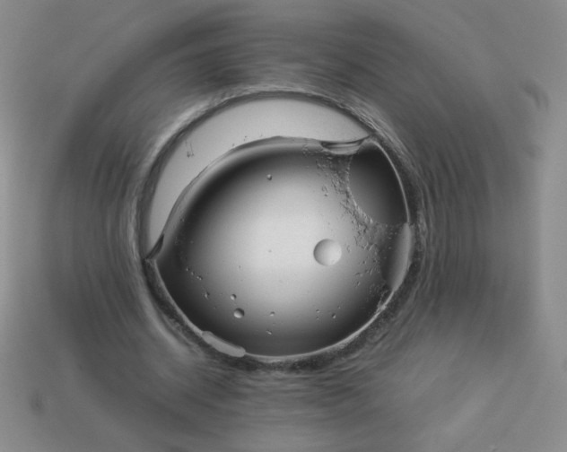 X0000114150534200910221548