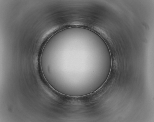 X0000114150535200910221548