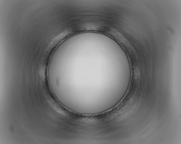 X0000114150537200910221549