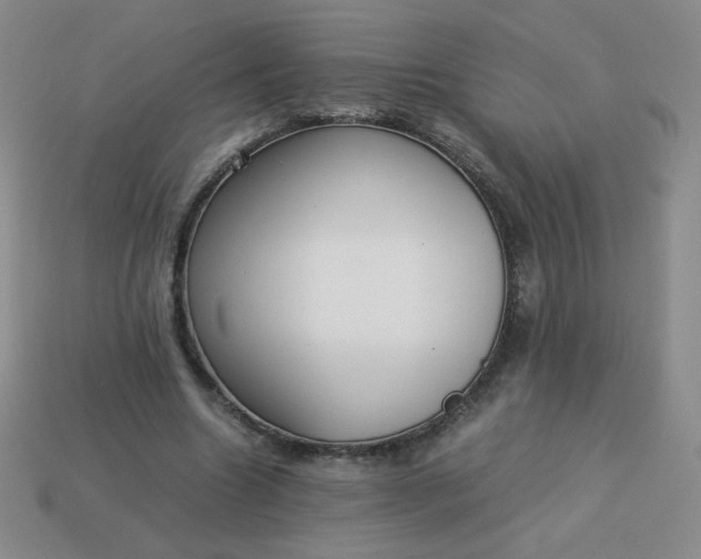 X0000114150538200910221549