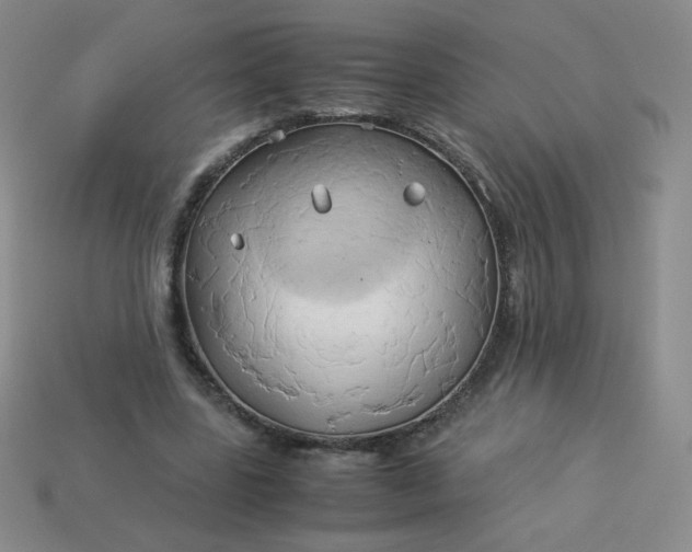 X0000114150539200910221549