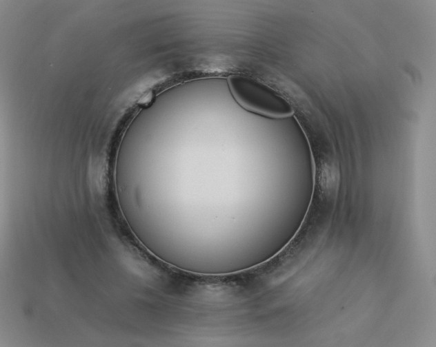 X0000114150540200910221549