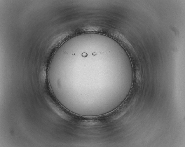 X0000114150541200910221549