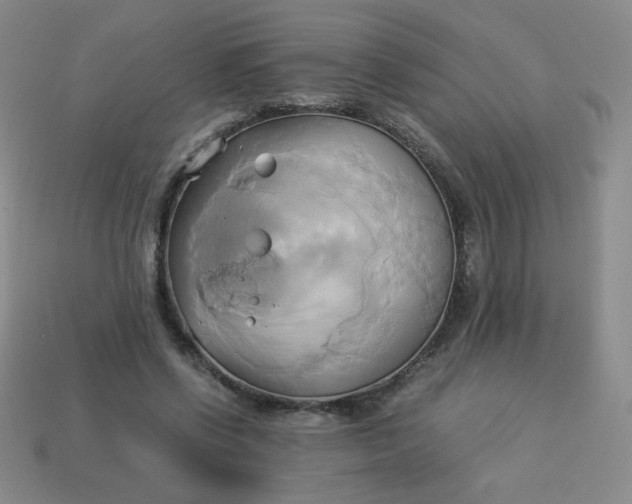 X0000114150542200910221549