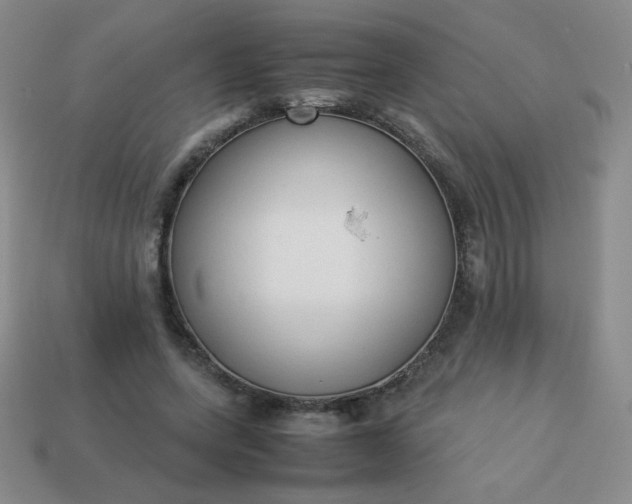 X0000114150543200910221549