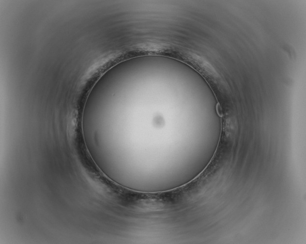 X0000114150544200910221549