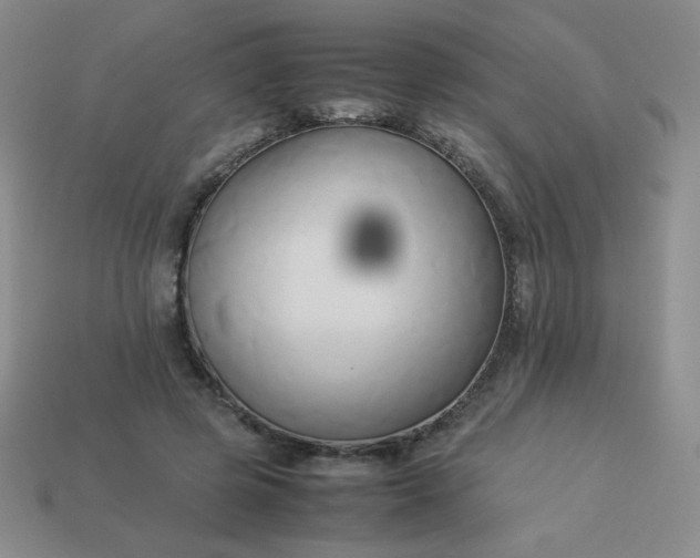 X0000114150545200910221549