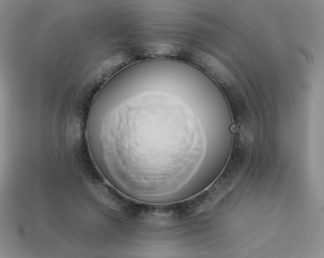 X0000114150546200910221549