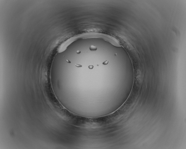 X0000114150547200910221549