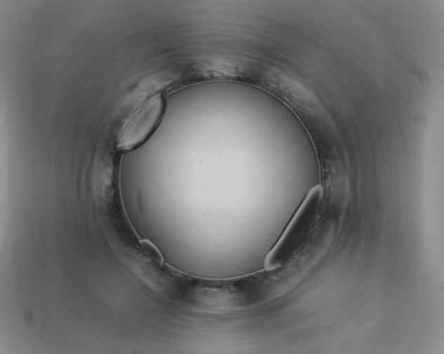 X0000114150548200910221549