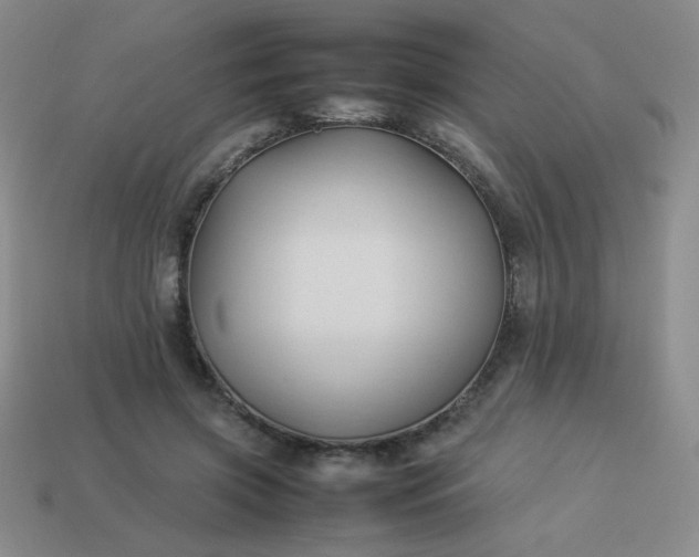 X0000114150549200910221549