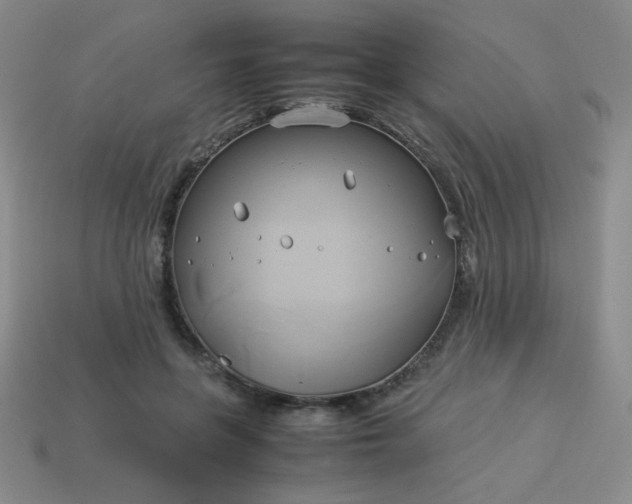 X0000114150551200910221549