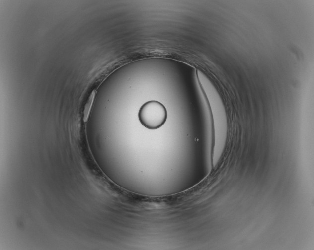 X0000114150552200910221549