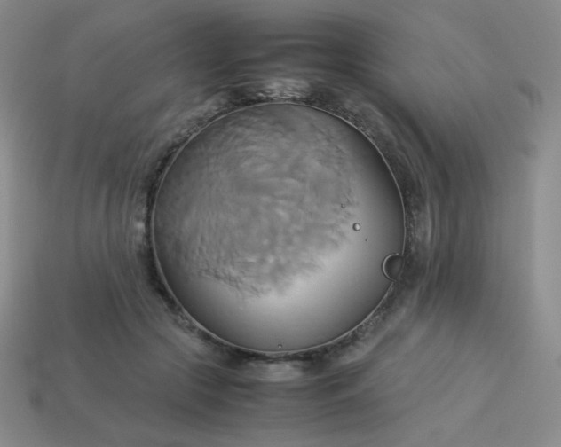 X0000114150553200910221549