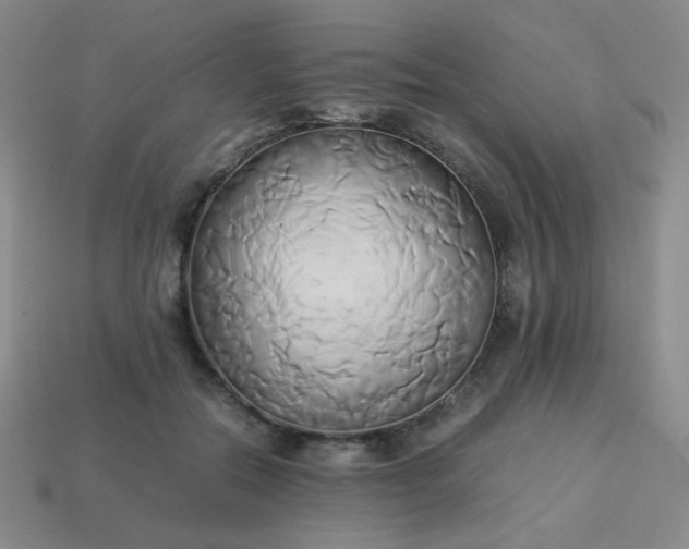 X0000114150554200910221549