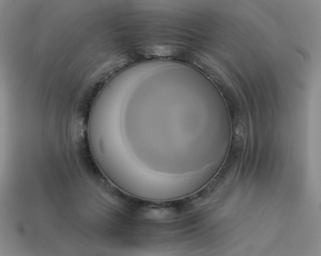 X0000114150555200910221549