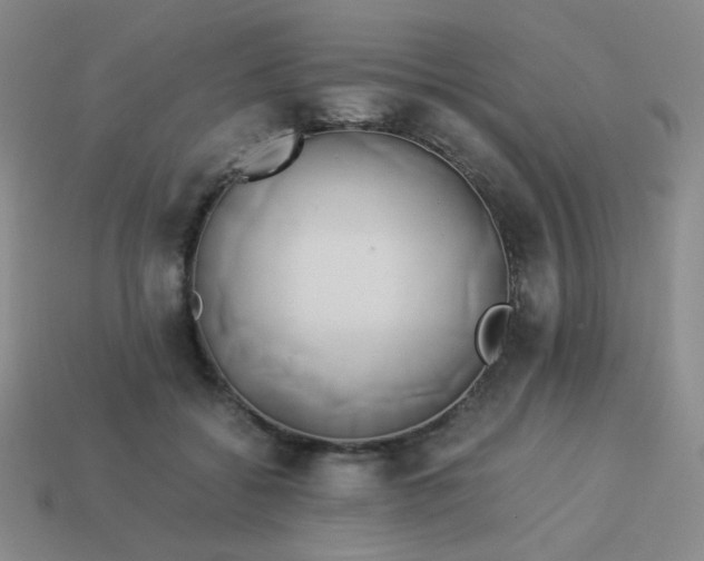 X0000114150556200910221549