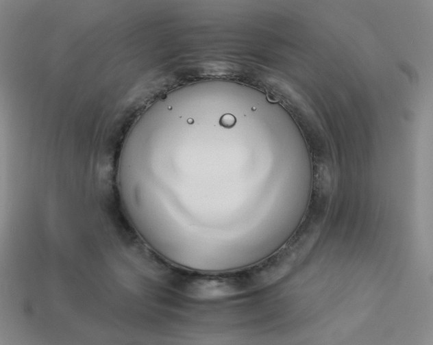 X0000114150557200910221549