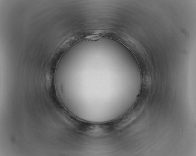 X0000114150558200910221549