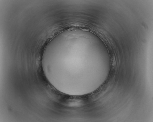 X0000114150559200910221549