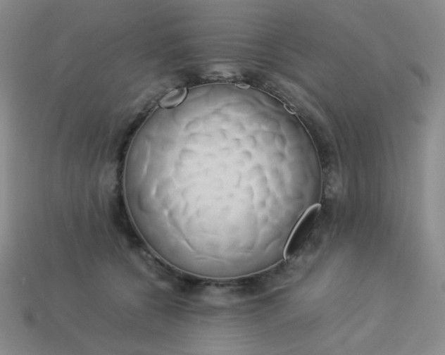 X0000114150560200910221549