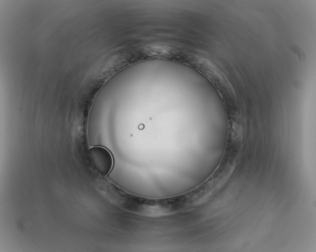 X0000114150561200910221549