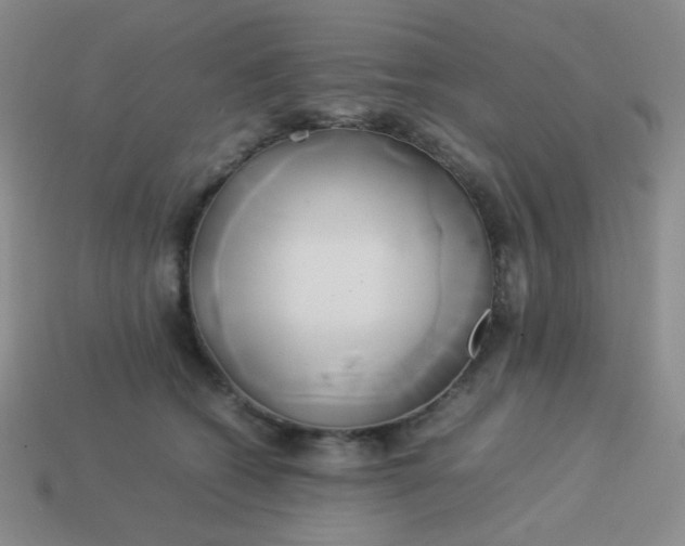 X0000114150562200910221549