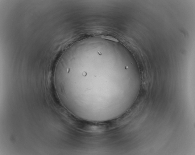 X0000114150563200910221549