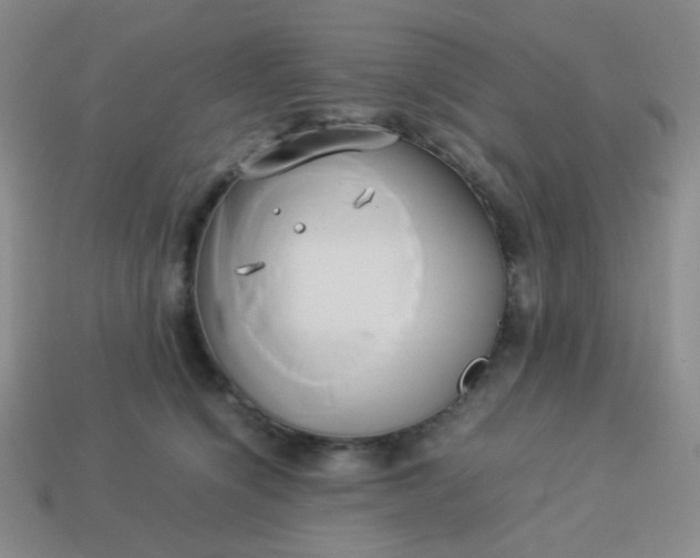 X0000114150564200910221549