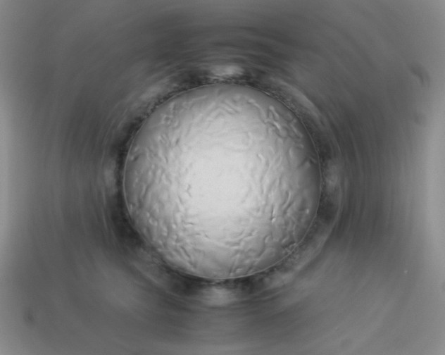 X0000114150565200910221549