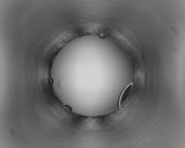 X0000114150566200910221549