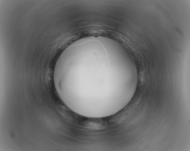 X0000114150567200910221549