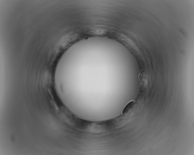 X0000114150568200910221549