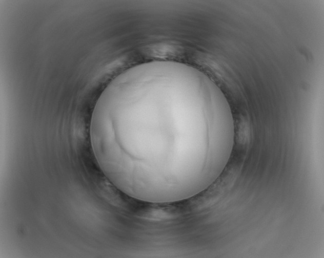 X0000114150569200910221549