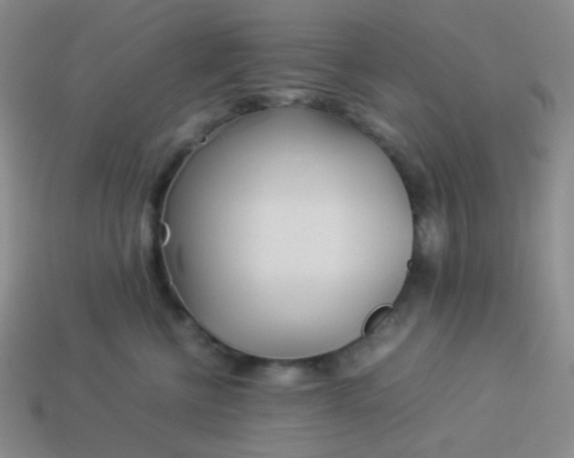 X0000114150570200910221549