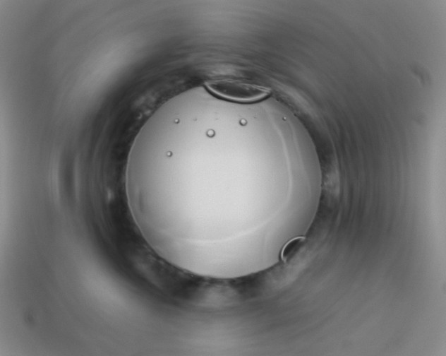 X0000114150572200910221549