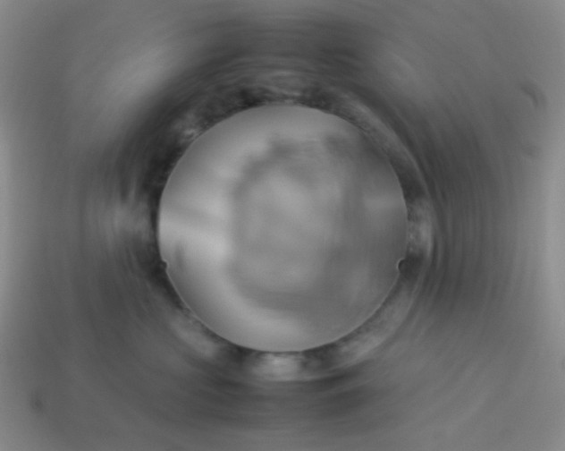 X0000114150573200910221549