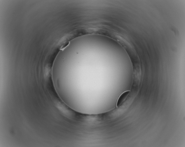 X0000114150574200910221549