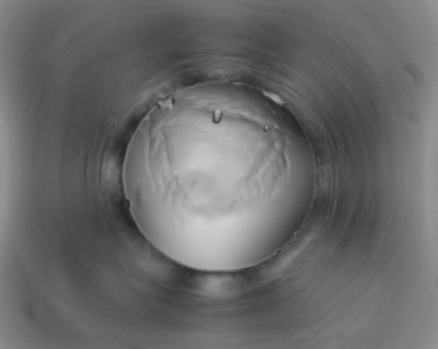 X0000114150575200910221549