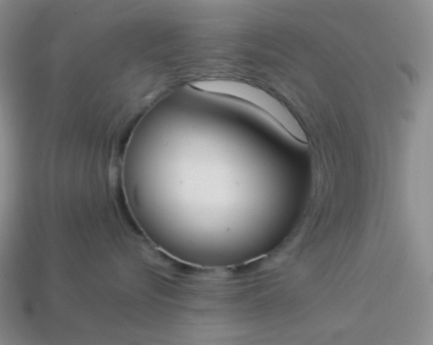 X0000114150576200910221549