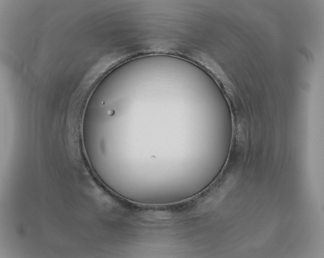 X0000114150577200910221548